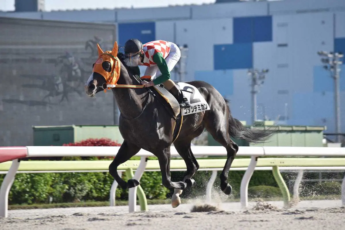 大井4R】珍名馬・コタツデミカンがデビュー2連勝 矢野「レースセンスが