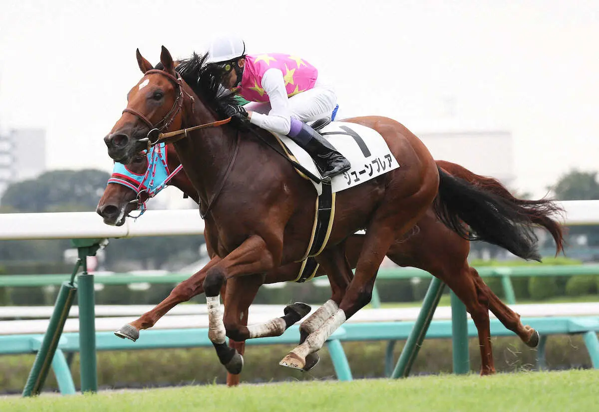 ジューンブレアは武豊とのコンビで函館スプリントSへ - スポニチ競馬Web