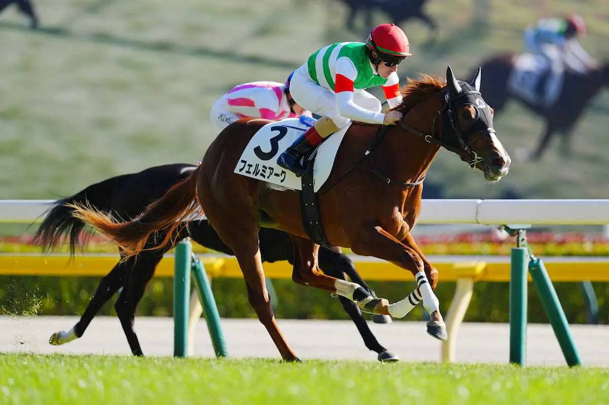 東京6R 2歳新馬戦】1番人気フェルミアークが完勝V ルメール「スタート