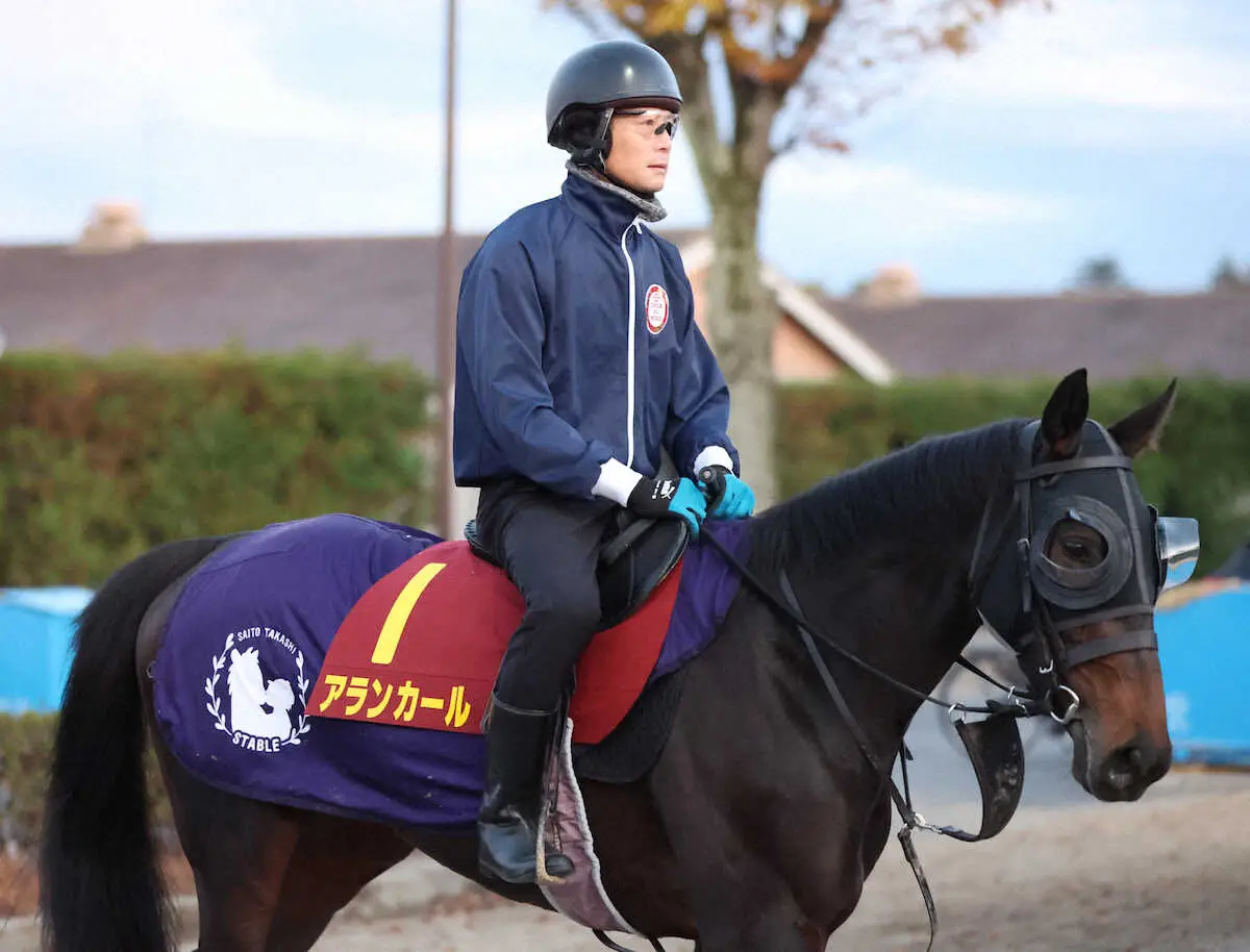 阪神JF】前走から継続騎乗 近10年で圧倒8勝 - スポニチ競馬Web