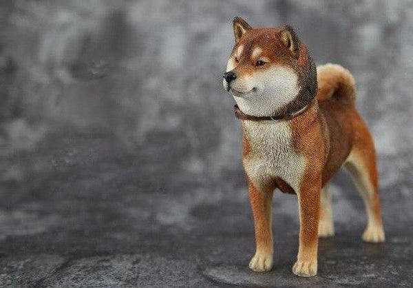 Japanese Shiba Inu with Two Heads - 1/6th Scale Figure – Stubborn