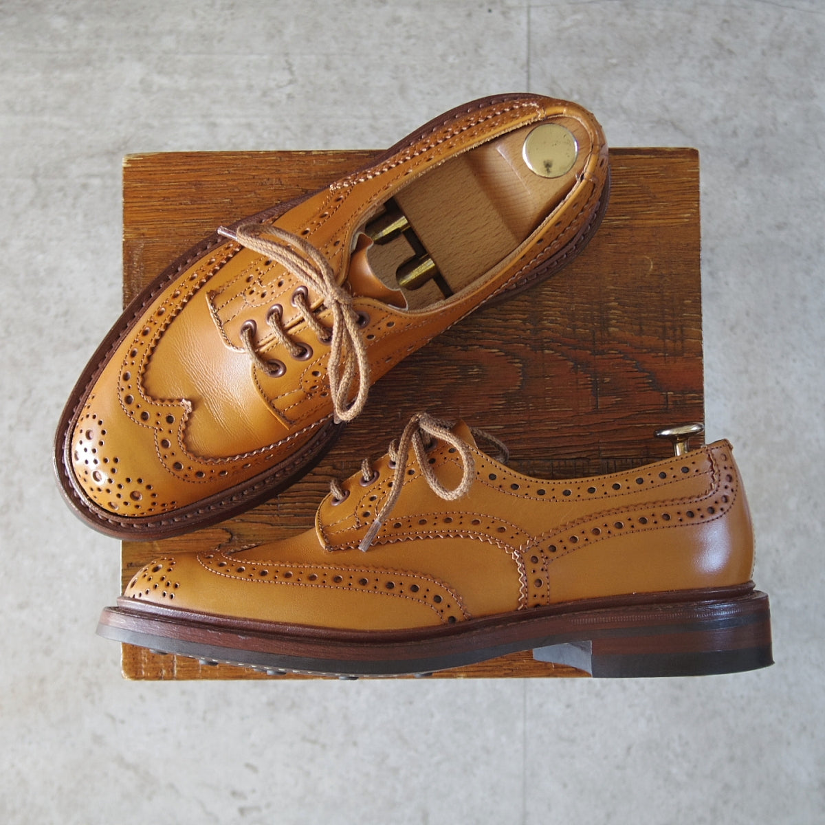 トリッカーズ SIZE 6【BOURTON/マロンアンティーク/5633】 | 高級中古