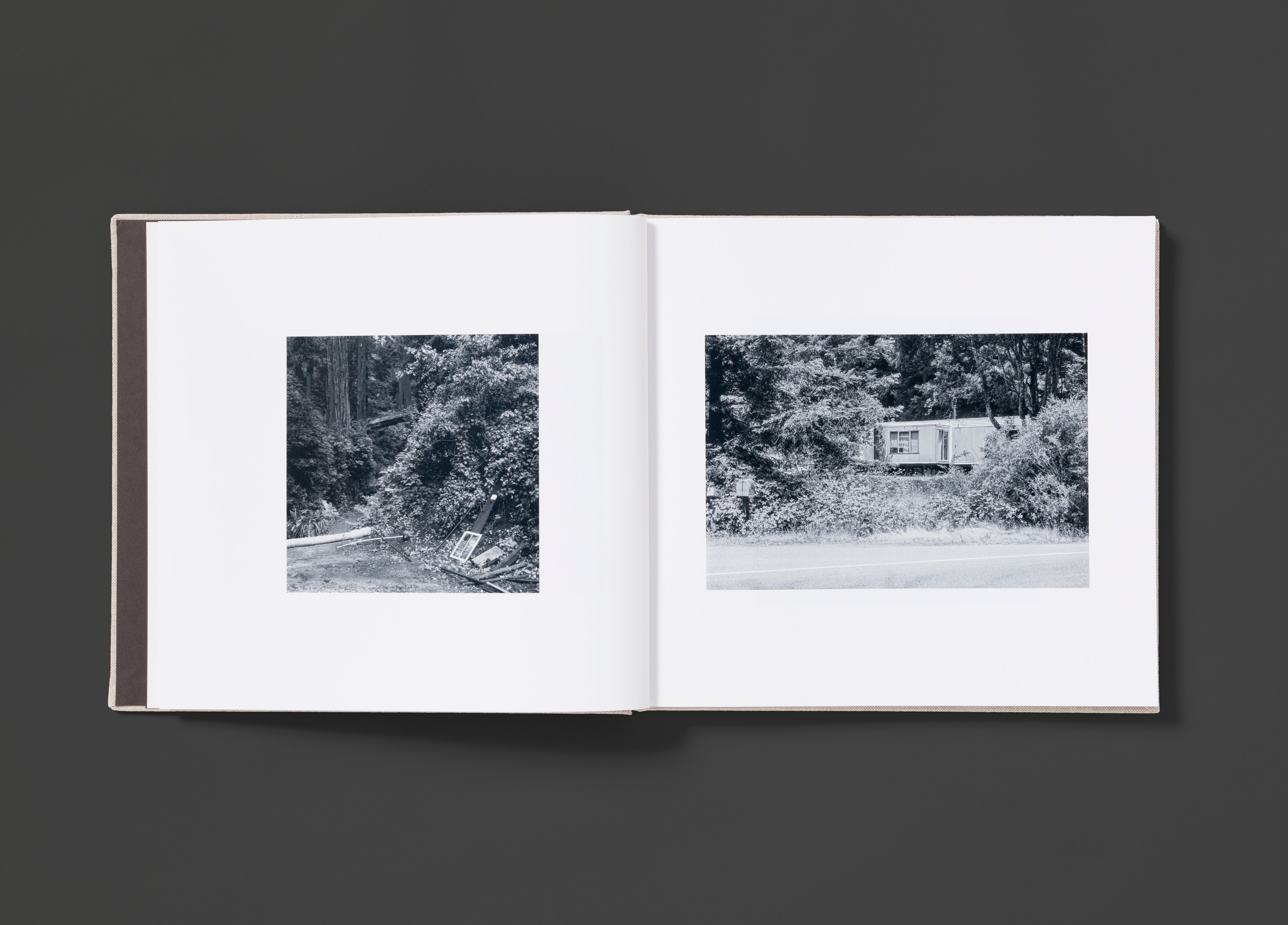 In the Gold Dust Rush – STANLEY/BARKER