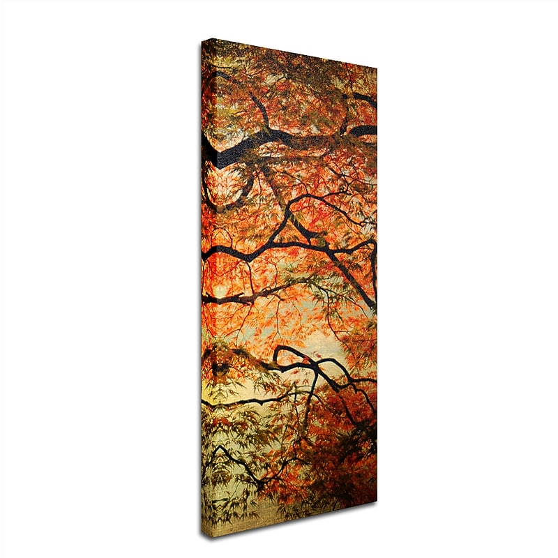 Trademark Philippe Sainte-Laudy 