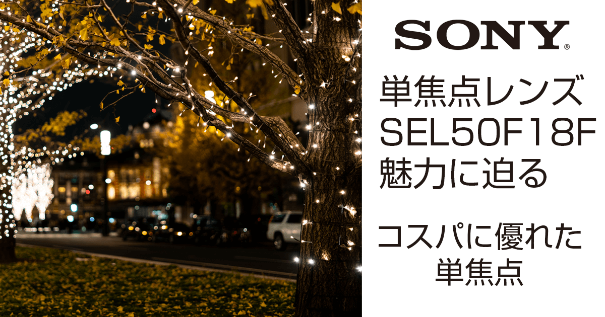 ソニー単焦点レンズSEL50F18Fのレビューと作例集 | Start Point