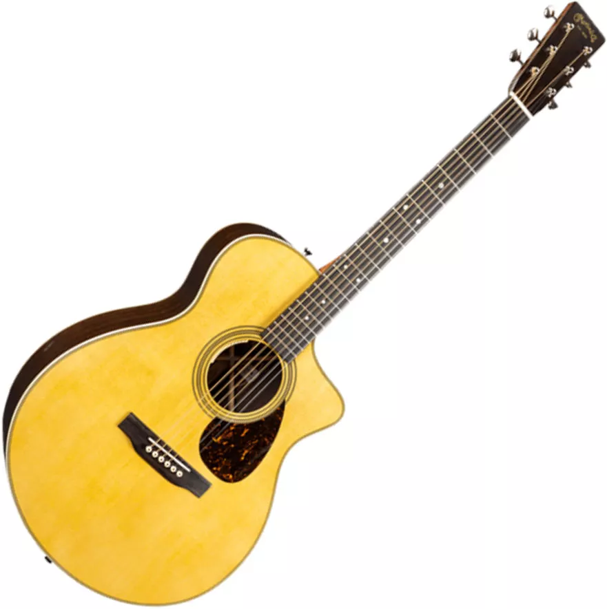 Martin マーチン アコースティックギター Fishman F1 Aura Martin