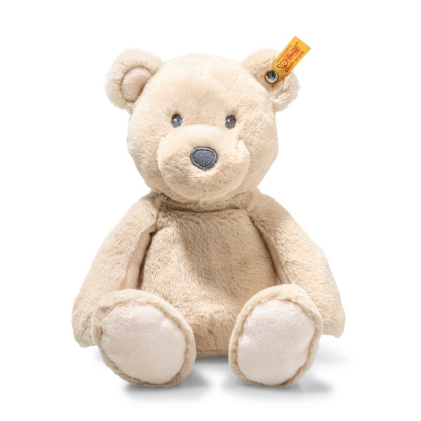 bearzy-teddybaer-708008.jpg