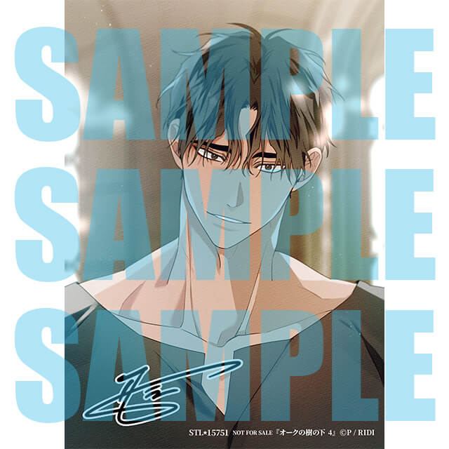 オークの樹の下 4☆特典付：コミックス | ステラワース