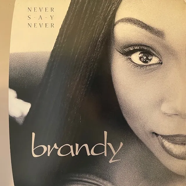 BRANDY / NEVER SAY NEVER [2LP - 83039-1]：R&B：アナログレコード