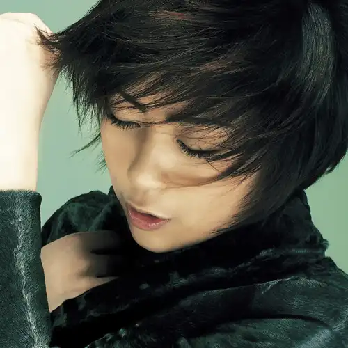 宇多田ヒカル / DISTANCE [2LP - UPJY-9204/5]：JAPANESE：アナログ