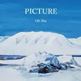 王舟 / PICTURE [LP - ]：JAPANESE：アナログレコード専門通販のSTEREO