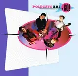 POLECATS / POLECATS ARE GO! [LP - 6359 057]：PUNK / HARDCORE
