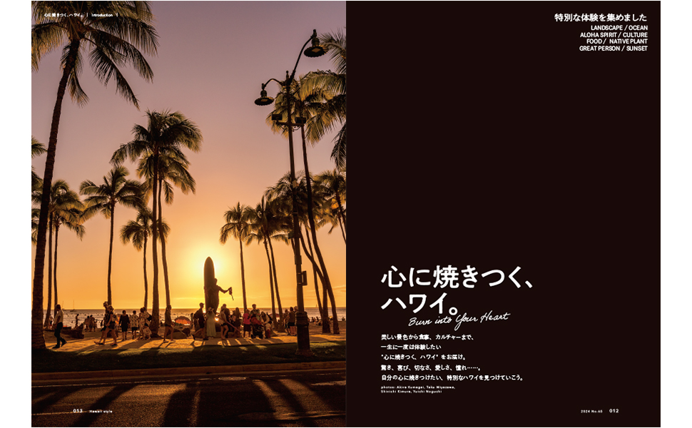 ハワイスタイル No.65 | ステレオサウンドストア