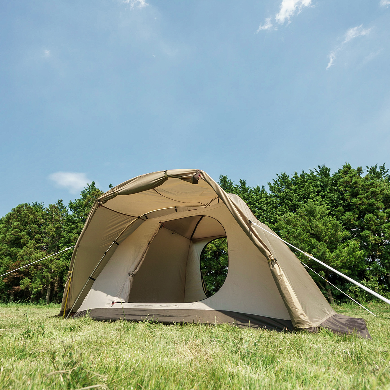 ピスタ34 / ogawa ONLINE STORE