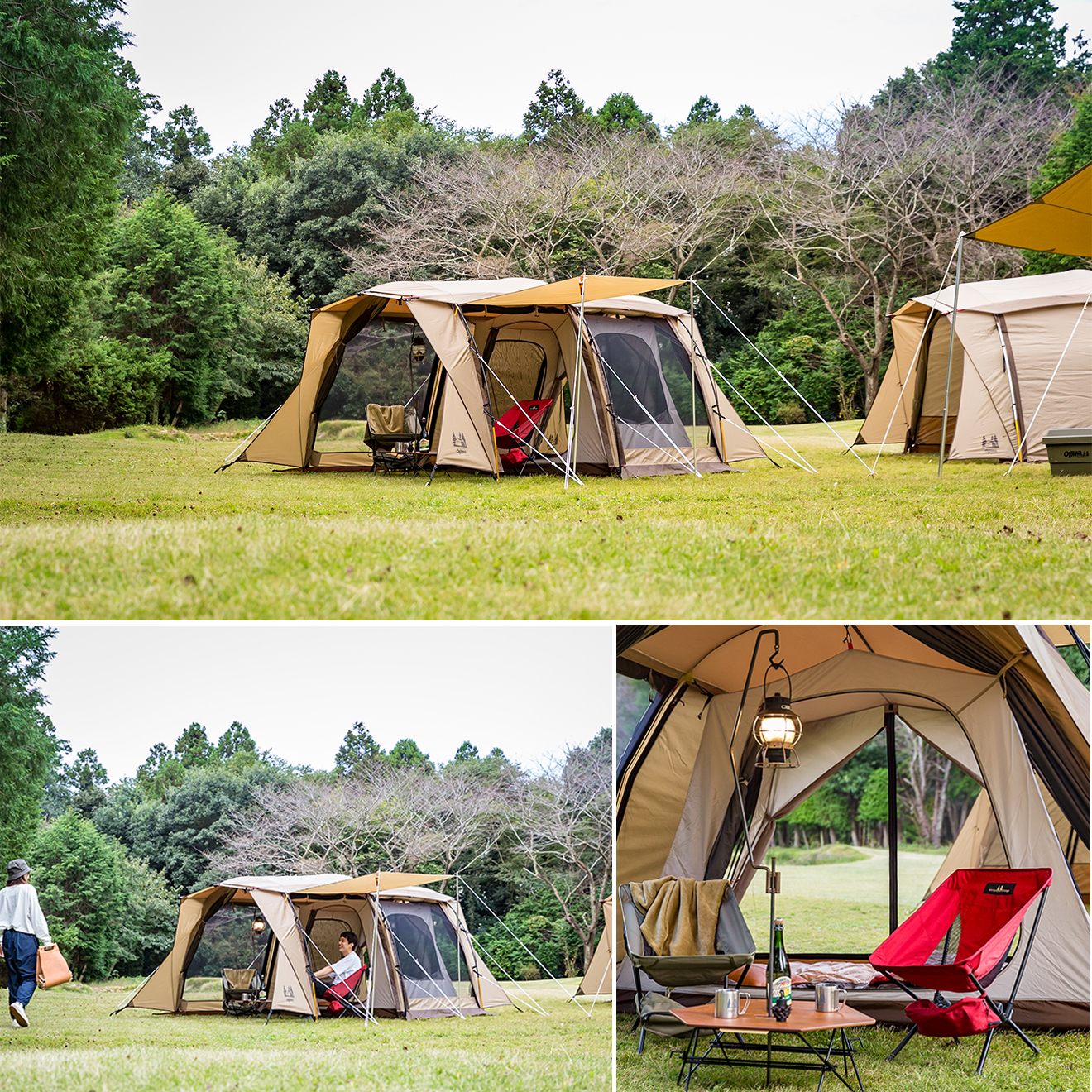 OUTLET】アポロンS / ogawa ONLINE STORE