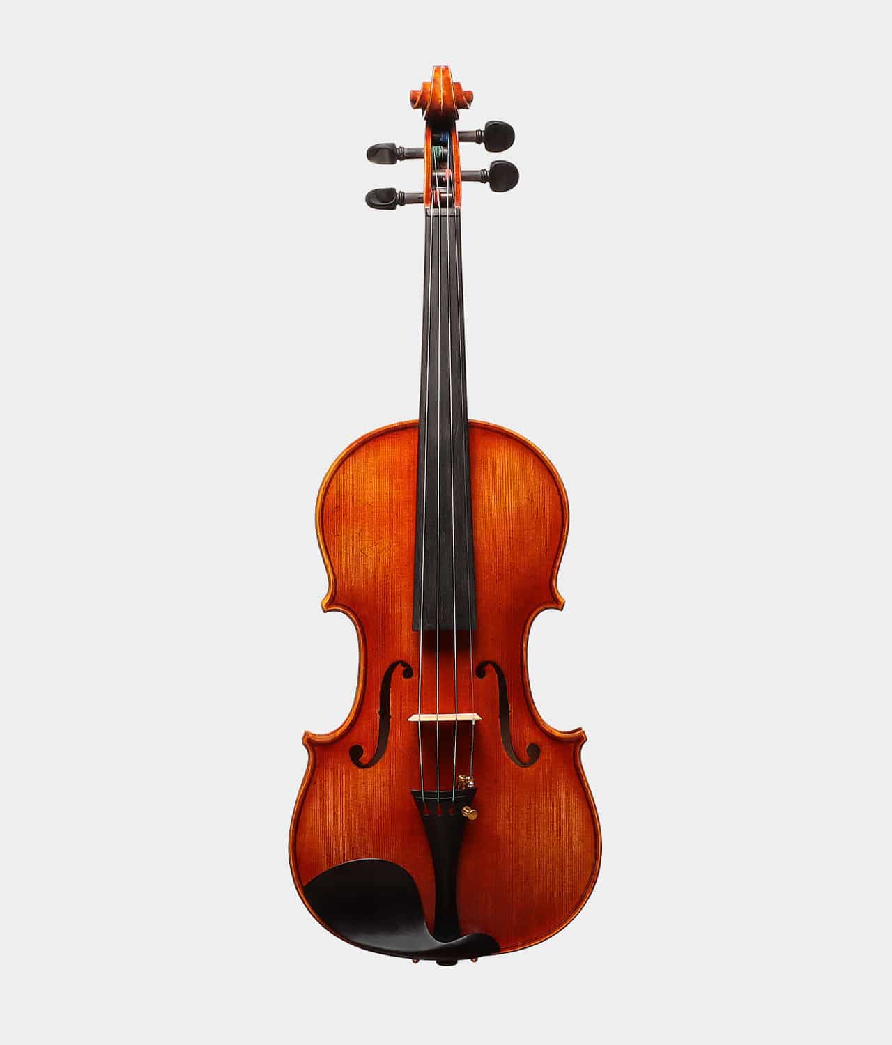 Lazzaro-Zucchi-Violin-4.jpg