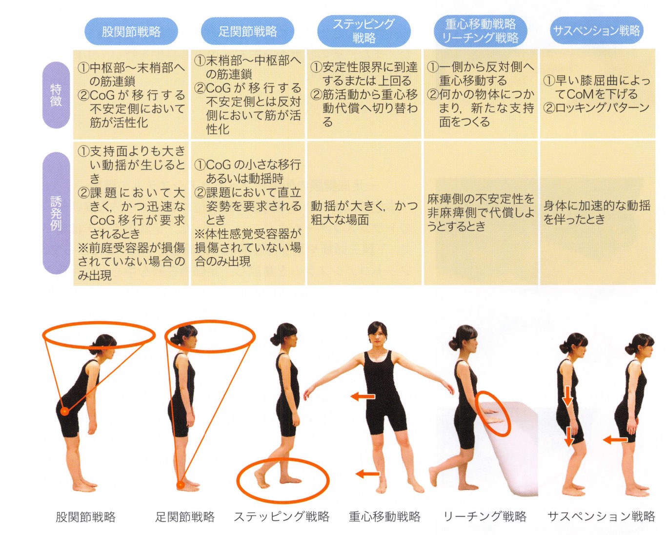 2024年質問】股関節戦略と足関節戦略のメリット・デメリットは？脳卒中