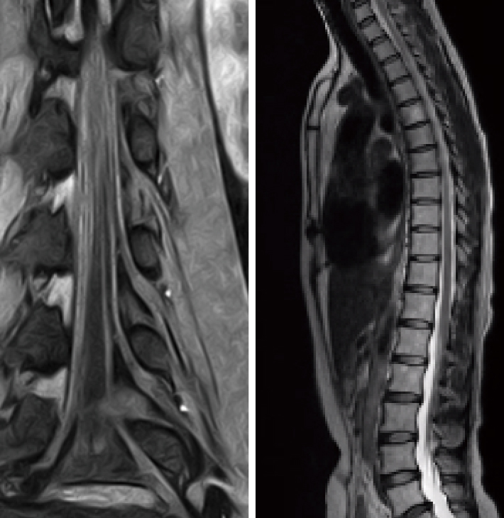 美品】整形外科のMRI 1998年版 美品】整形外科のMRI 1998年版 整形外科