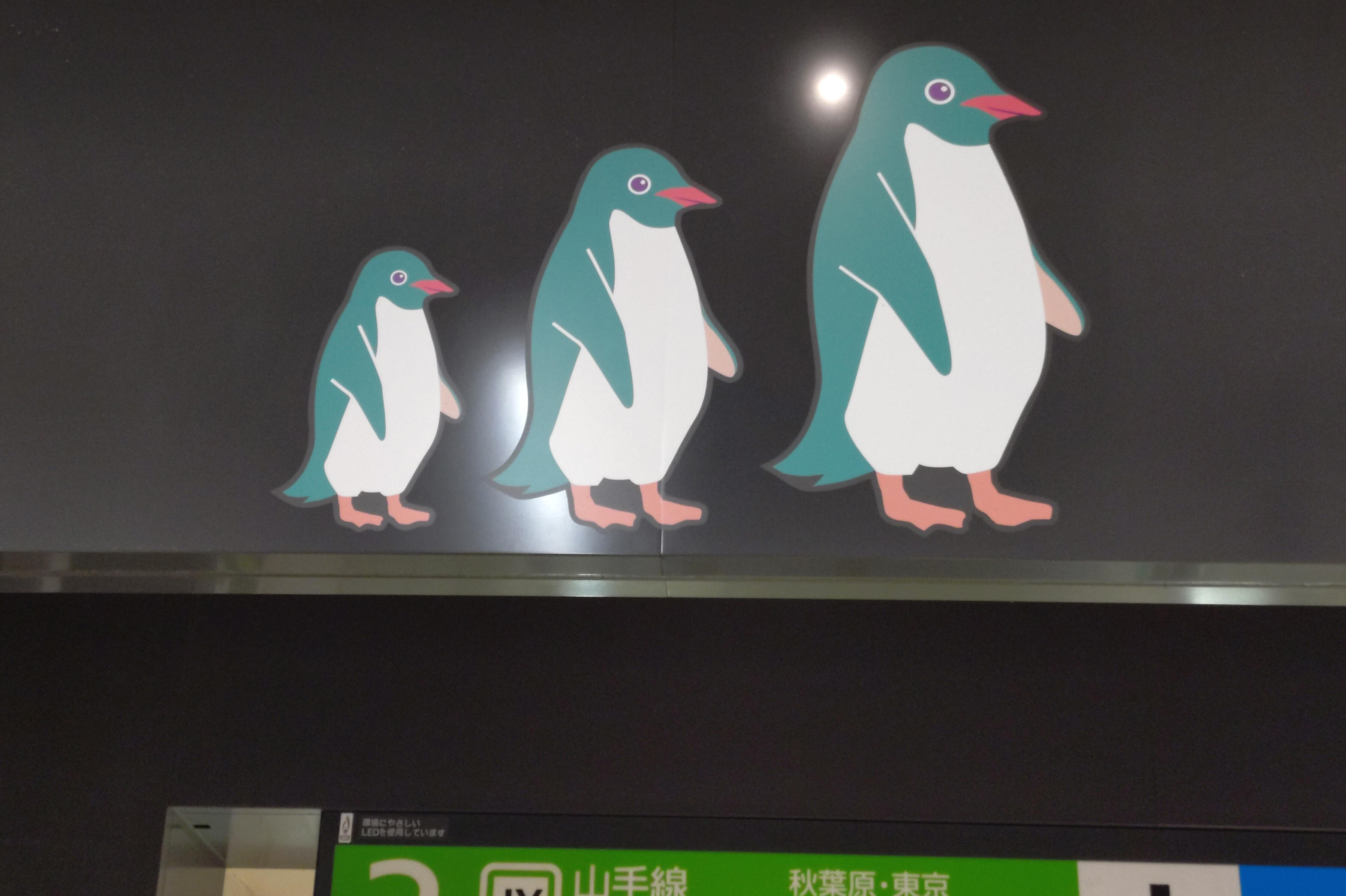 ╞╪╡ 鐵 學 ╞╪╡ (45) ペンギン都市伝説!?｜ぬかぴーのツブヤキ
