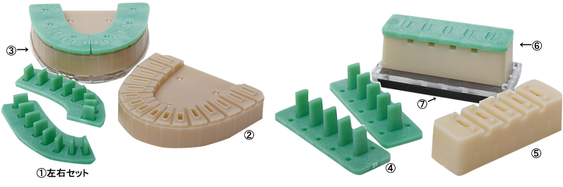 ダイトック PRO(全顎用）・ダイトック Plus (片顎用）｜ 貼り付け模型