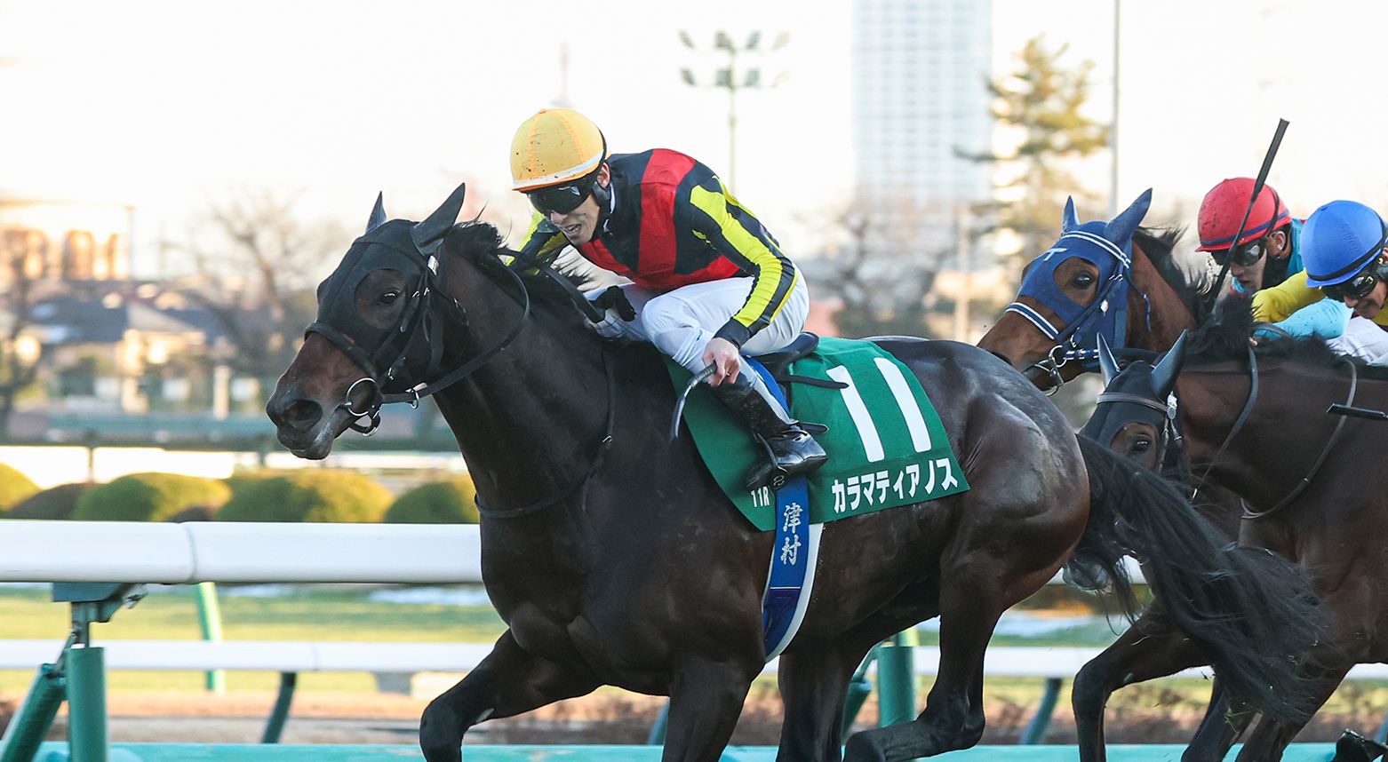 Sunday Thoroughbred Club サンデーサラブレッドクラブ