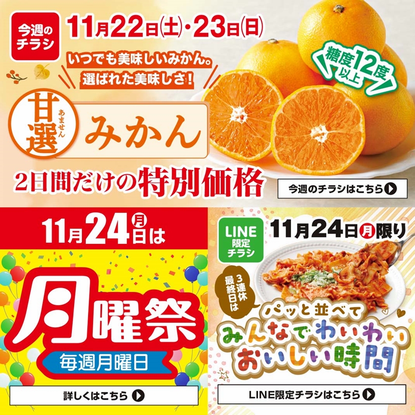 SUNNY MART 2025年 11月22日(土)〜11月23日(日)チラシ「連休のゆったり