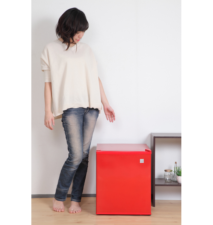 生産終了品】ペルチェ式 48リットル 1ドア電子冷蔵庫 SR-R4802 | SunRuck