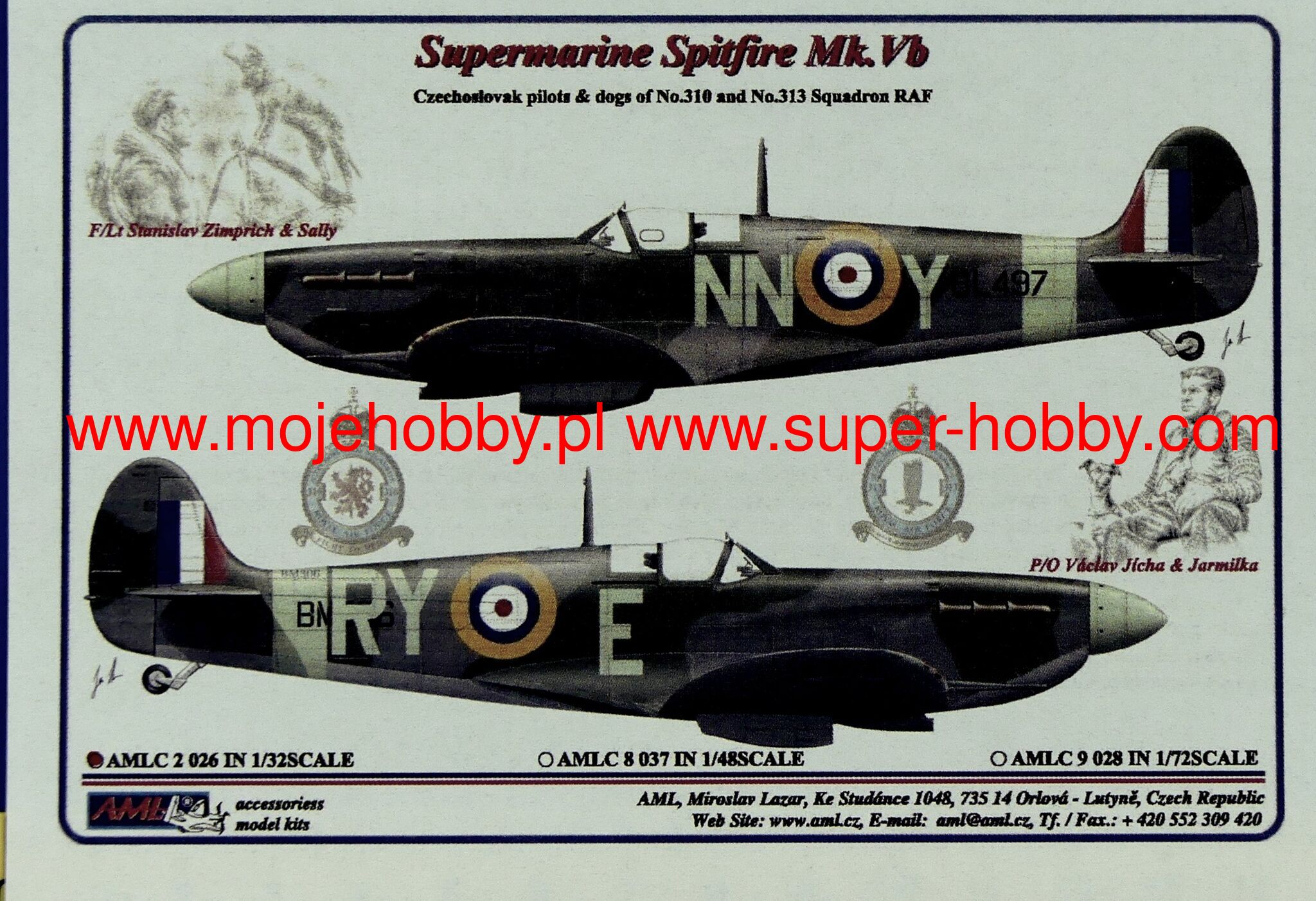 Czechoslovak Pilots & Dogs of No.310 and No.313 Squadron RAF AML C2026