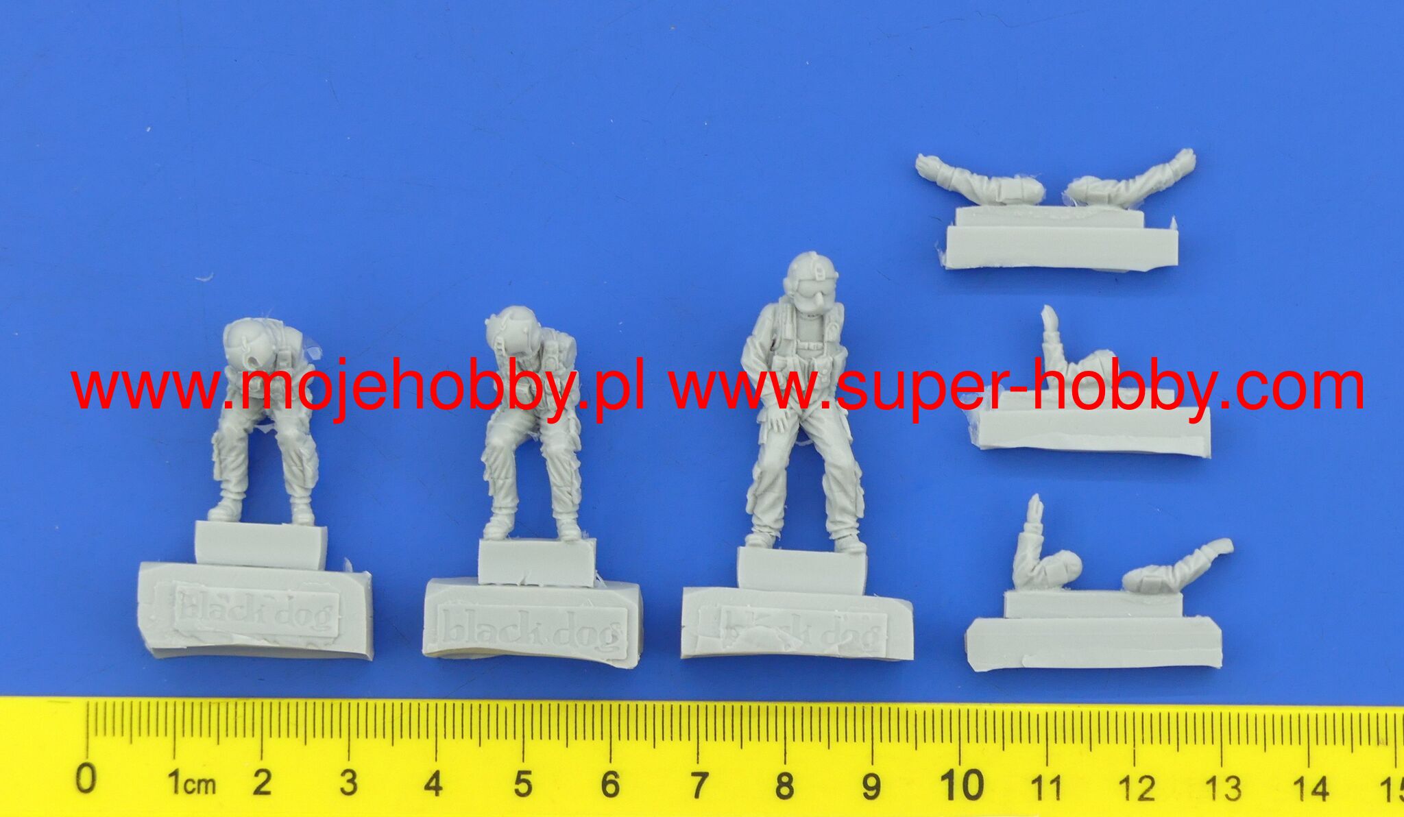 Black Hawk Pilots Black Dog -F48002