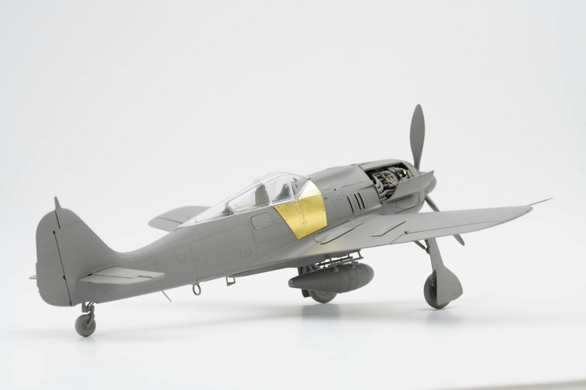 Focke-Wulf Fw-190 A-8 R2/6/7/8 (4 in 1 Kit) Border Model -BF009