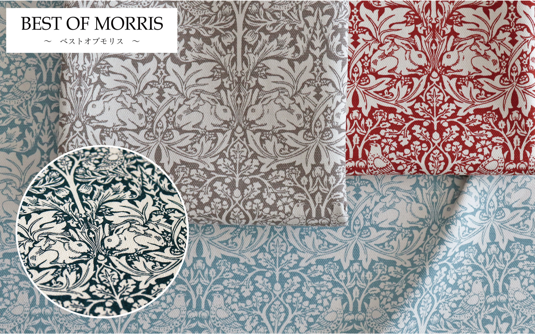 moda社 ベストオブモリス オックス Brother Rabbit [M便 1/6]の通販