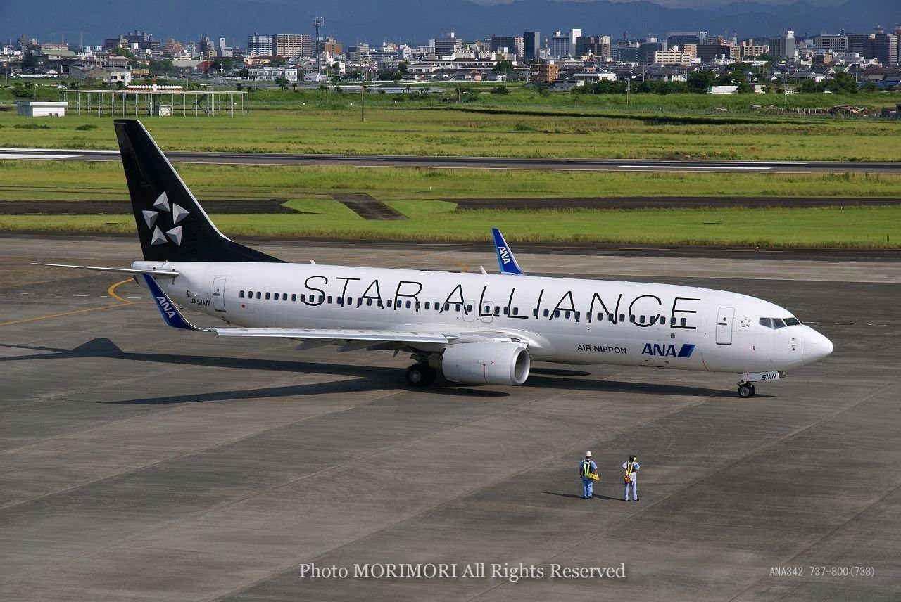 スターアライアンス特別塗装機の写真｜B737-800 JA51AN STAR ALLIANCE