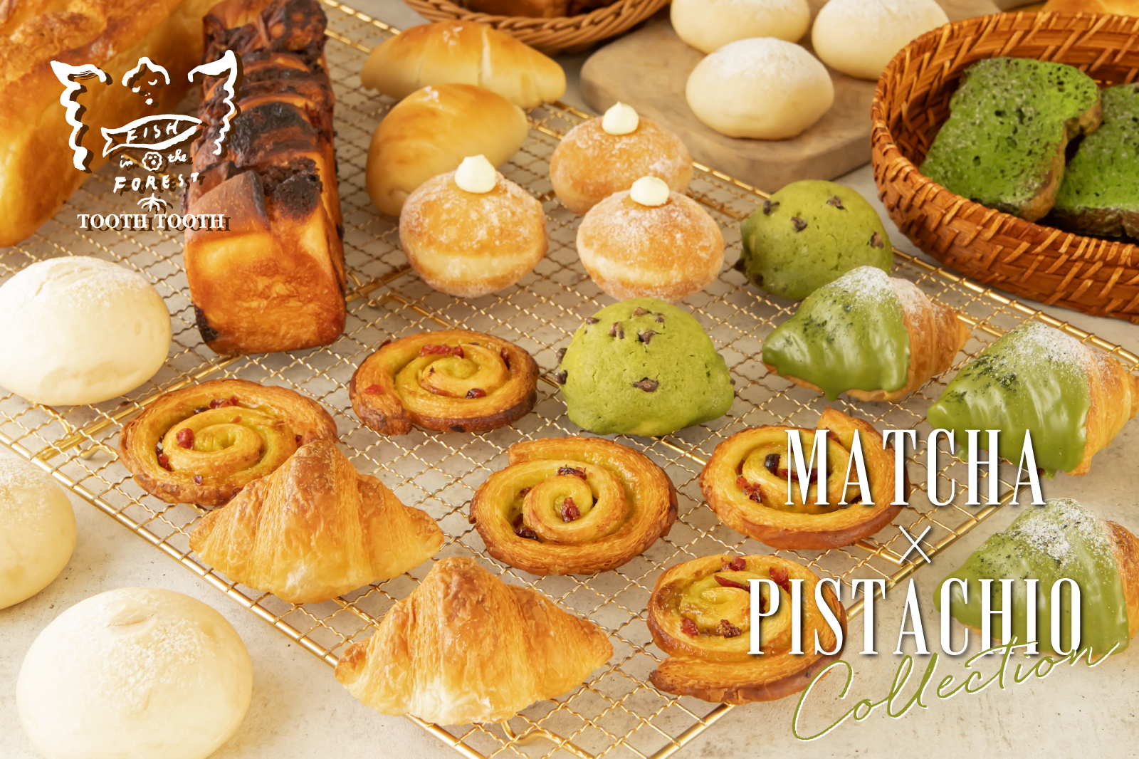 250515_TTsite_format_1-1.jpg?v1