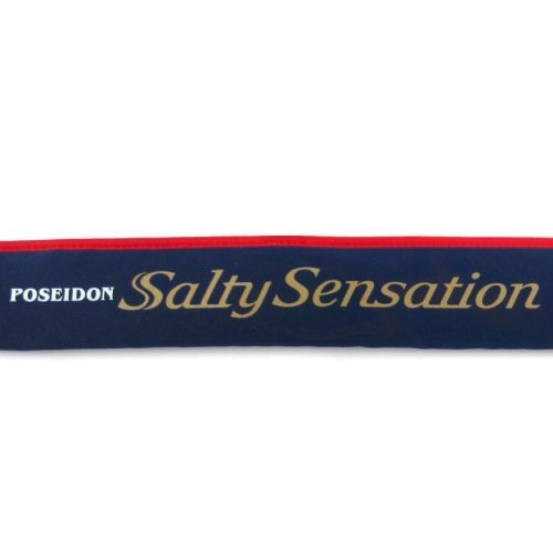 エバーグリーン ポセイドン ソルティセンセーション PSSS-610S