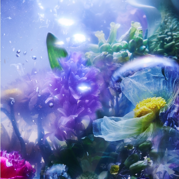 B.A グランラグゼ Ⅳ | ポーラ公式 エイジングケアと美白・化粧品