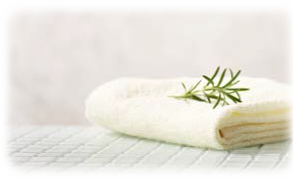 クレンジング・洗顔｜自然の恵みから生まれた高品質な天然力スキンケア