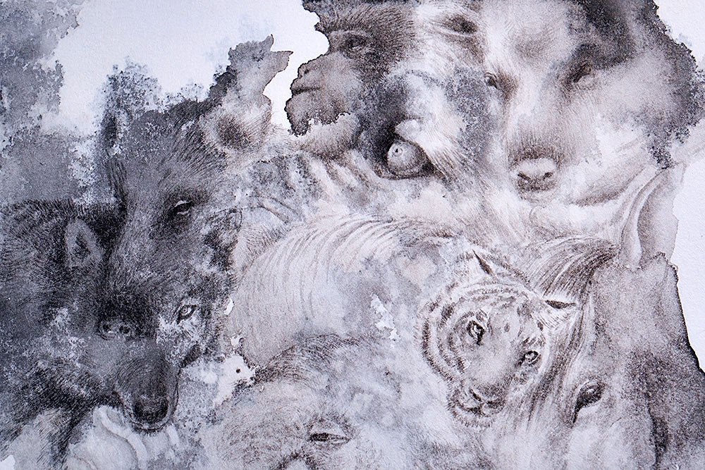 Artist | 白白庵 PAKUPAKUAN