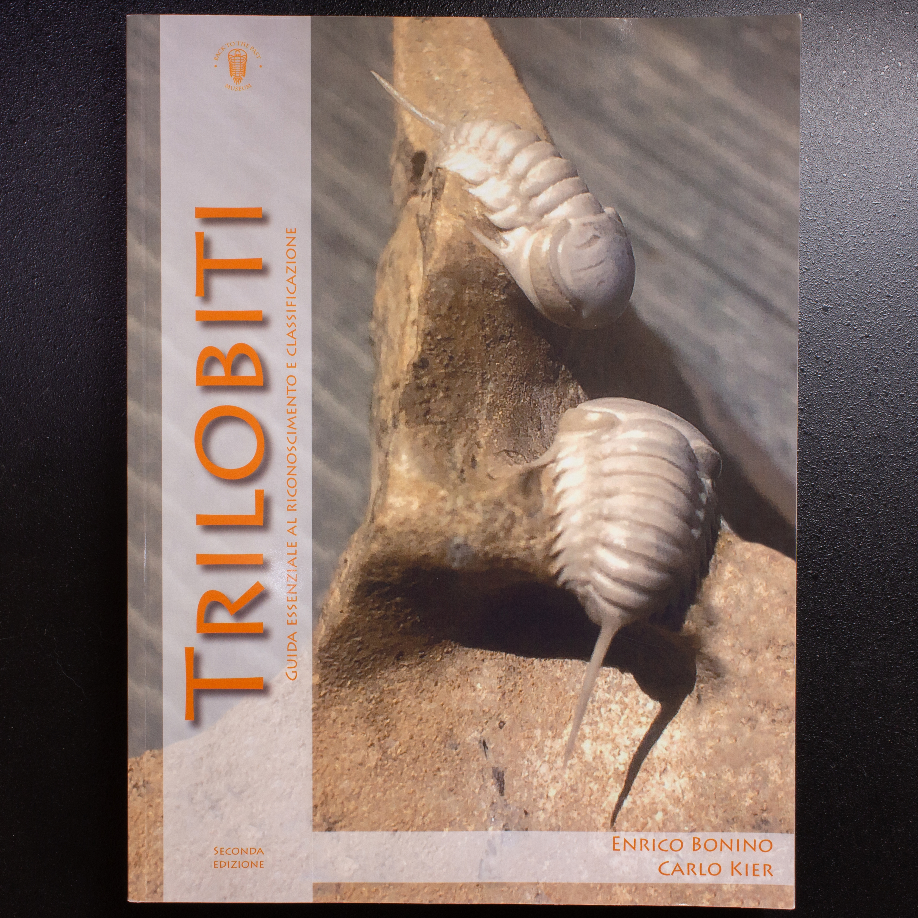 Trilobiti-1.jpg