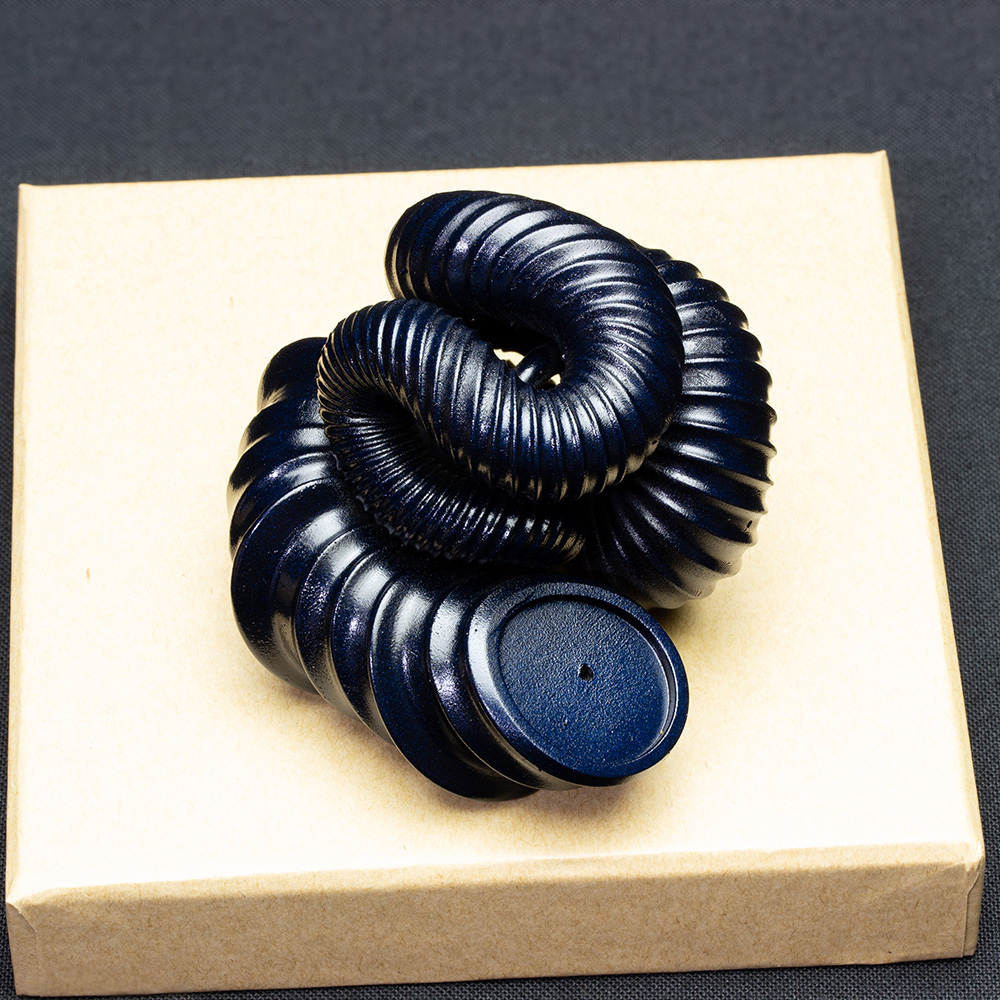 ニッポニテス化石モデル006（サイズS）｜恐竜・化石グッズの専門店 ふ