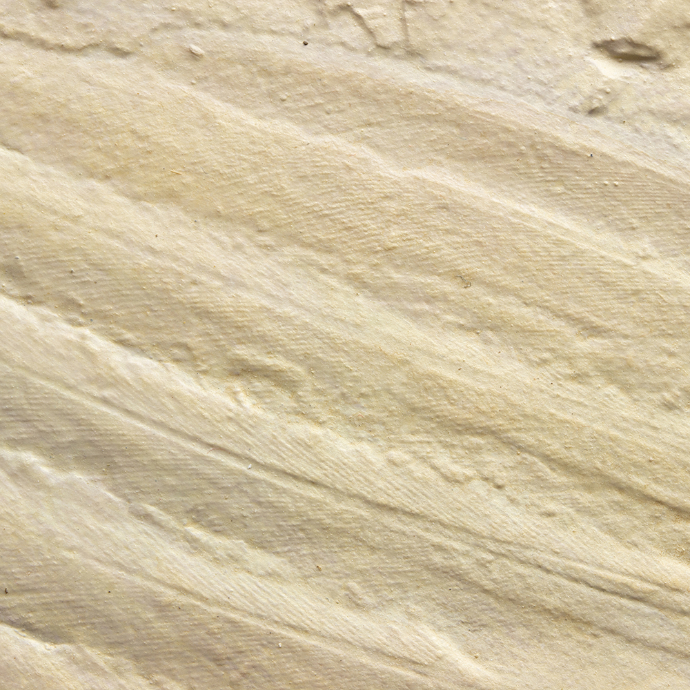 始祖鳥レプリカ072｜恐竜・化石グッズの専門店 ふぉっしる