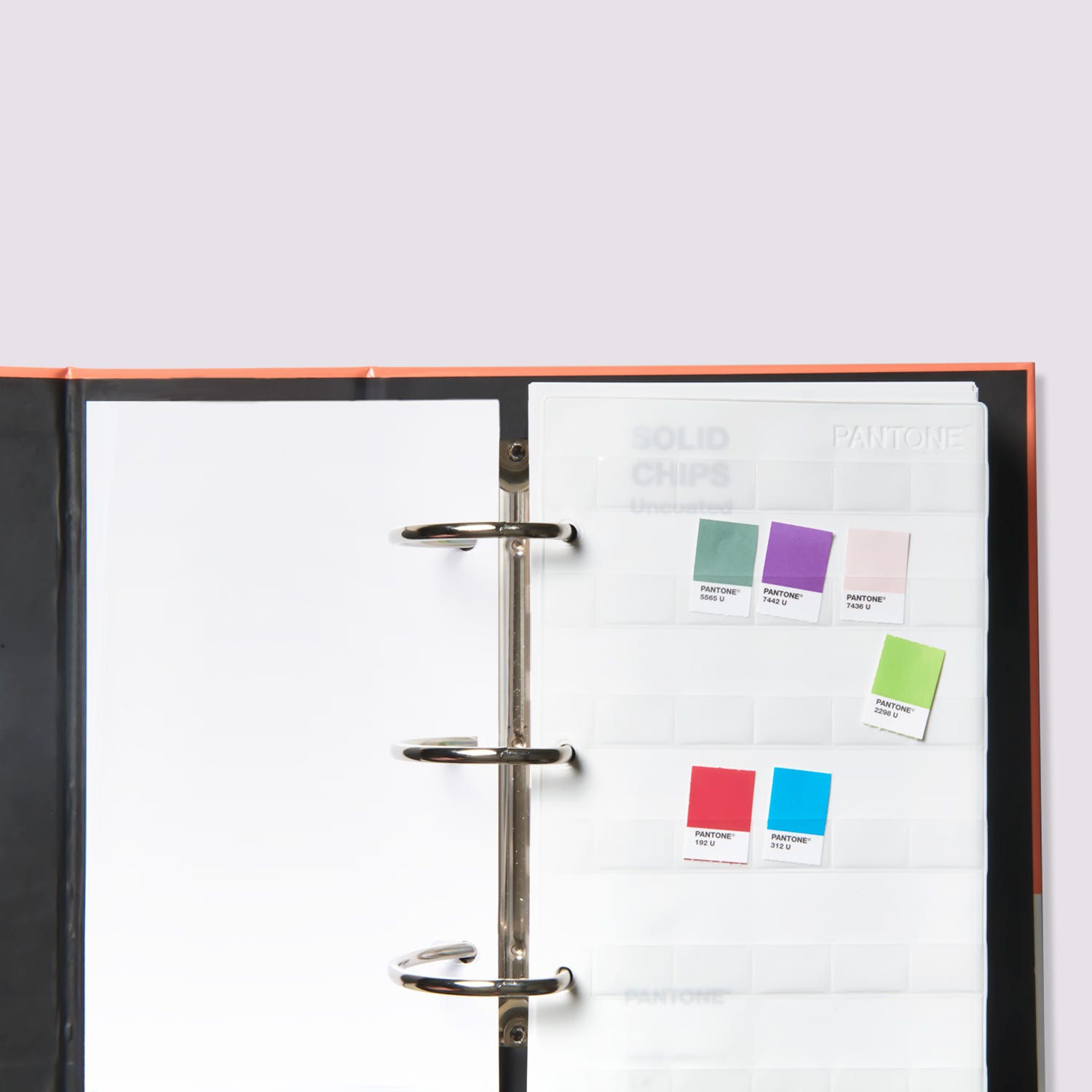 PANTONE® USA | Pantone Solid Chips | Coated & Uncoated