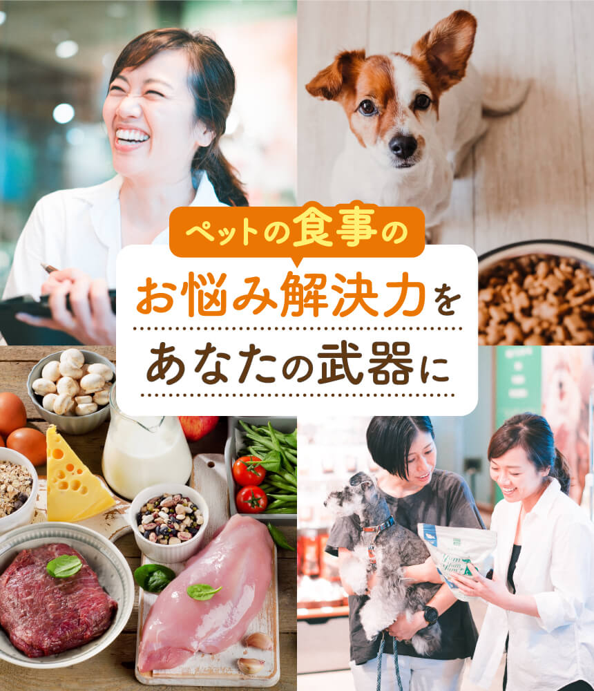 ペットフーディスト養成講座｜「ペットの食事」のお悩み解決力をあなた