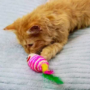 10%OFF！猫の日特集】Add.Mate アドメイト 猫用おもちゃ Happiness Cat