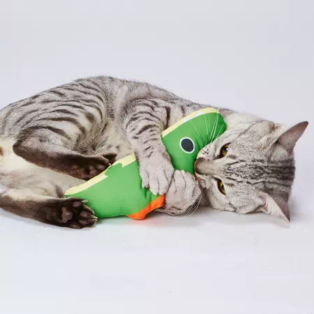 10%OFF！ひな祭り特集】仔猫用けりぐるみ 子ワニ【会員様限定