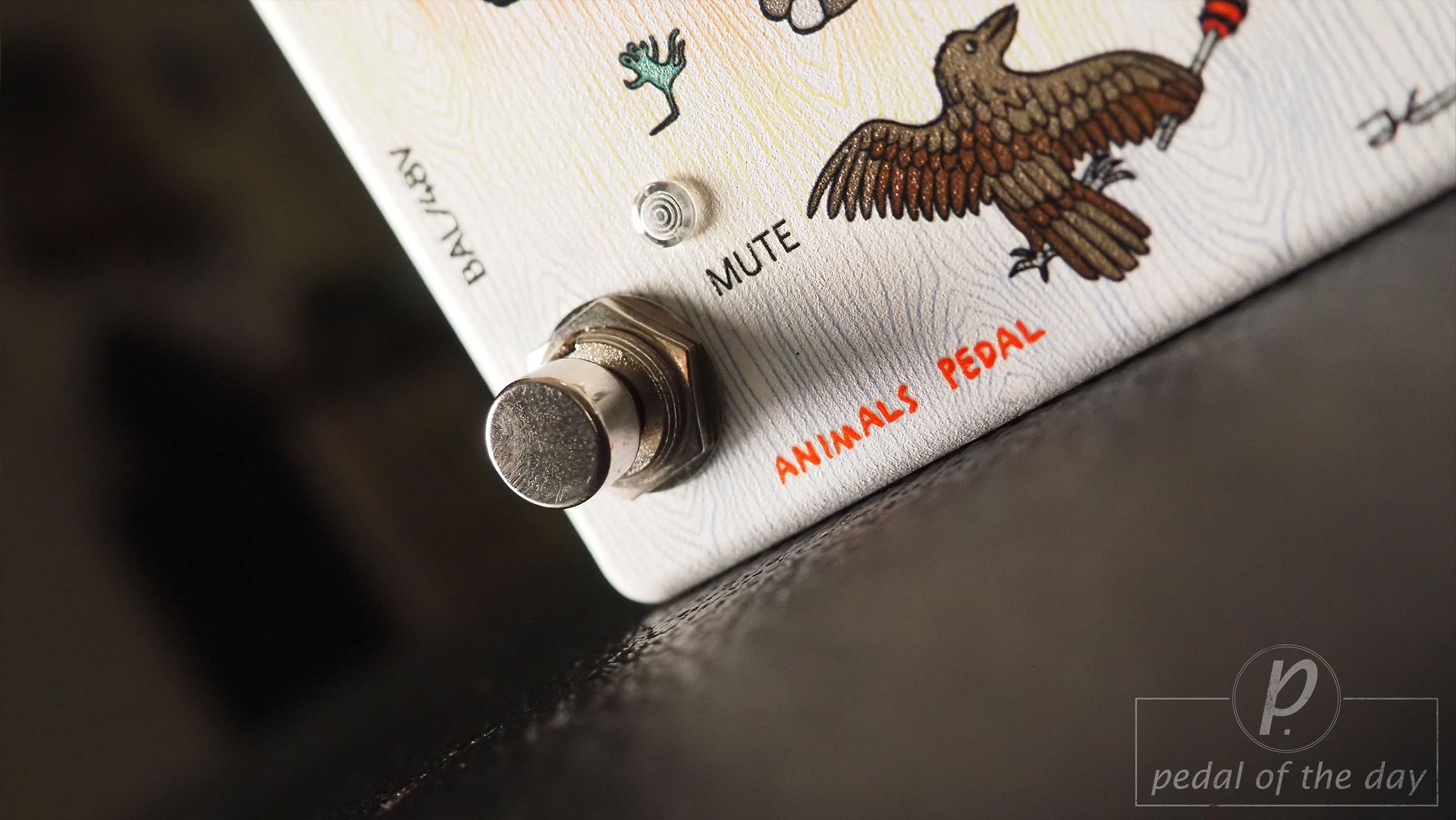 Animals Pedal Firewood Acoustic D.I. MKII - Pedal of the Day