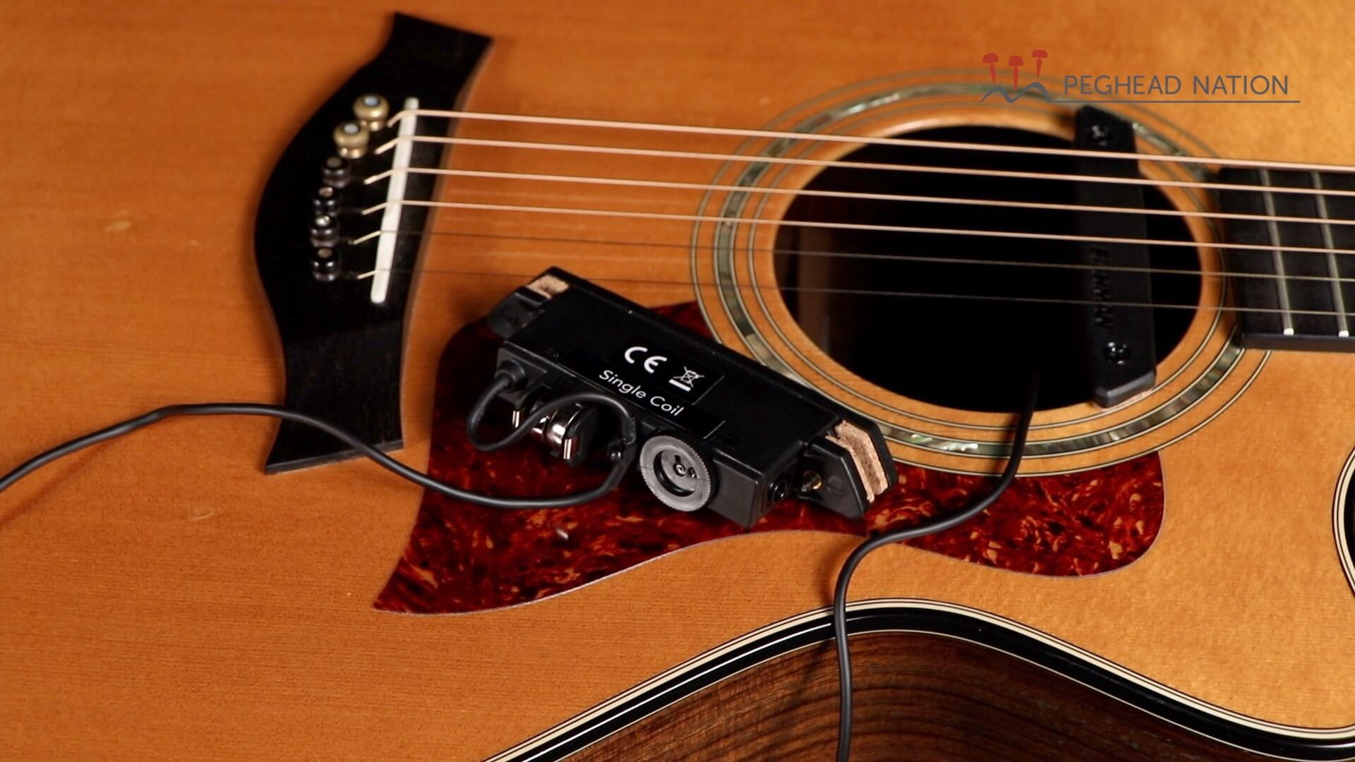 Fishman Rare Earth Pickups - Peghead Nation