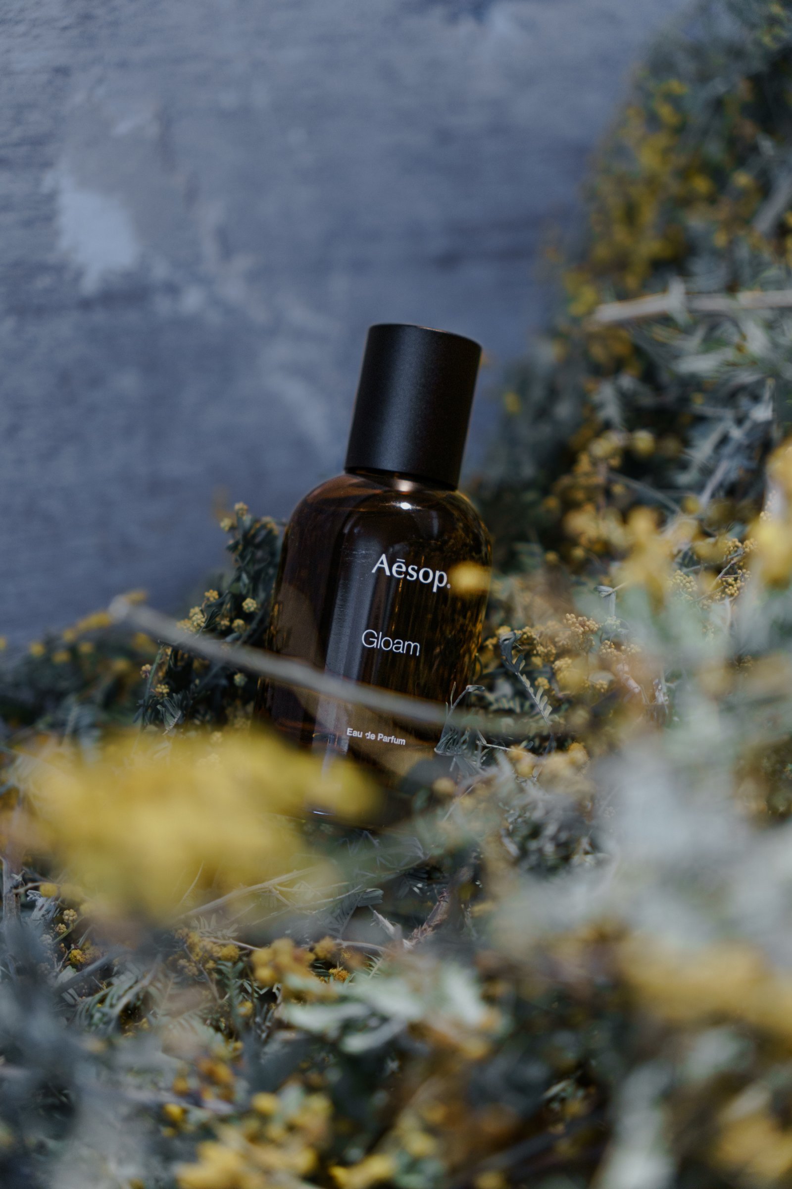 イソップ9作目の香り「グローム」、スパイスとフローラルが混じり合う