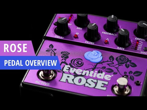 Eventide Rose Delay Pedal - Perfect Circuit