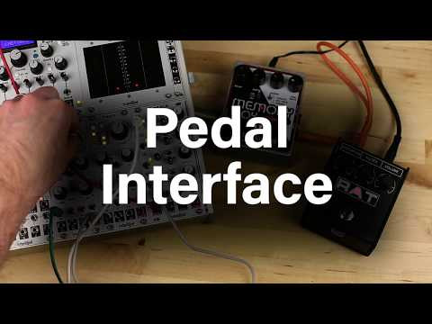 Intellijel Pedal I/O 1U Effect Send / Return - Perfect Circuit