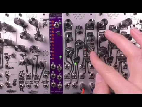 Noise Engineering Basimilus Iteritas Alter (Black) - Perfect Circuit